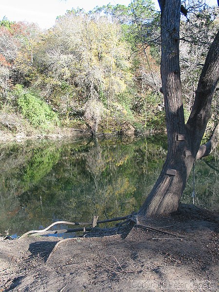 rope swing / swimming hole