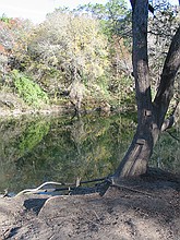 rope swing / swimming hole