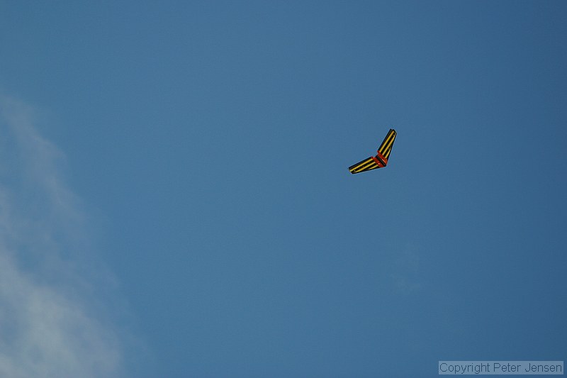 the ever-ubiquitous Zagi 400X (he had a stock Zagi 400X config with the 1700AU battery and I timed his flight at just over 9 minutes, with lots of aerobatics)