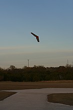 the ever-ubiquitous Zagi 400X (he had a stock Zagi 400X config with the 1700AU battery and I timed his flight at just over 9 minutes, with lots of aerobatics)