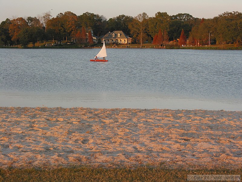 sunfish on the LSU lakes