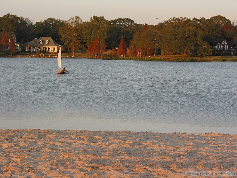 sunfish on the LSU lakes