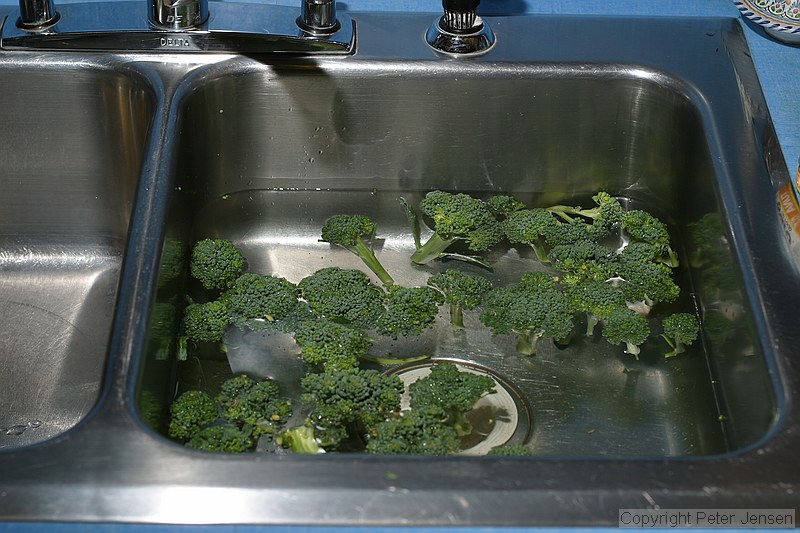 broccoli being washed in the sink