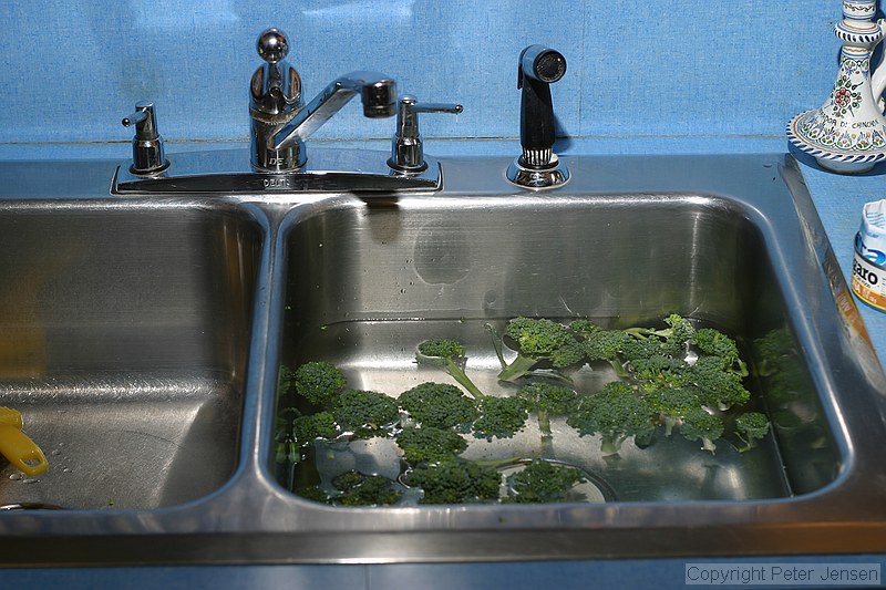 broccoli being washed in the sink