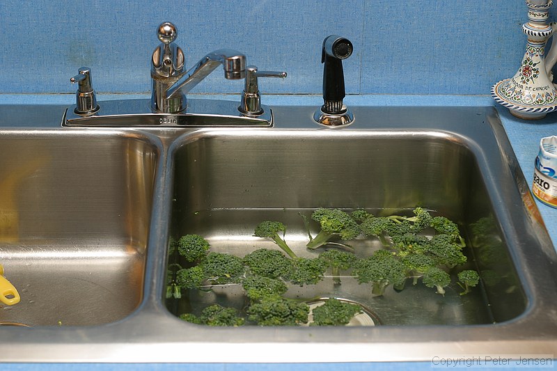 broccoli being washed in the sink