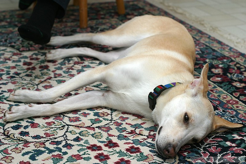 tired...