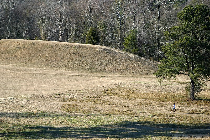 picturesque runner