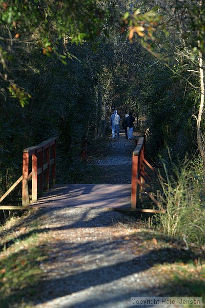 idyllic path