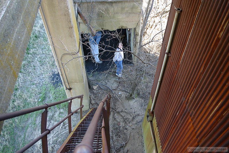 I was stupid enough to climb a bit up