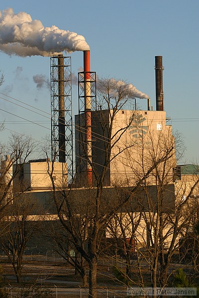 Mead paper plant