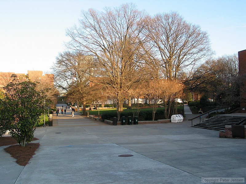 Skiles walkway