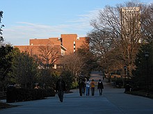 shot down the walkway