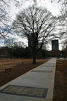 sidewalk by the old Hightower