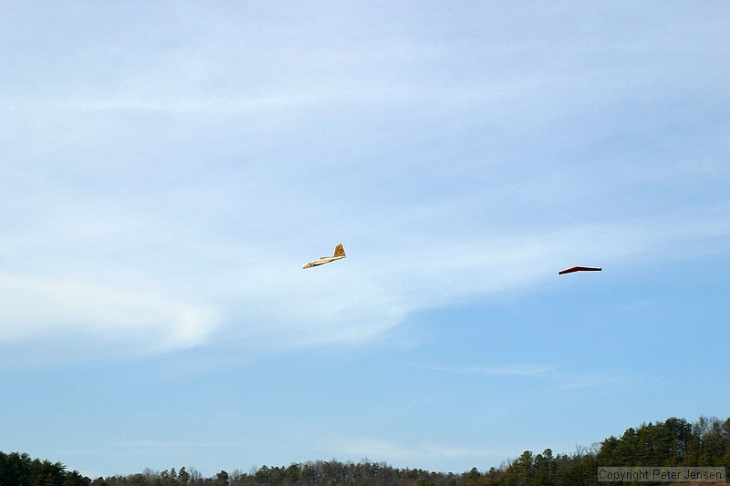 side-view of the Moth