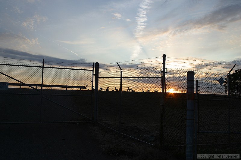 wildlife at the water reservoir