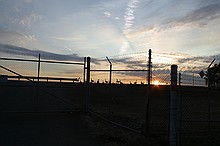 wildlife at the water reservoir