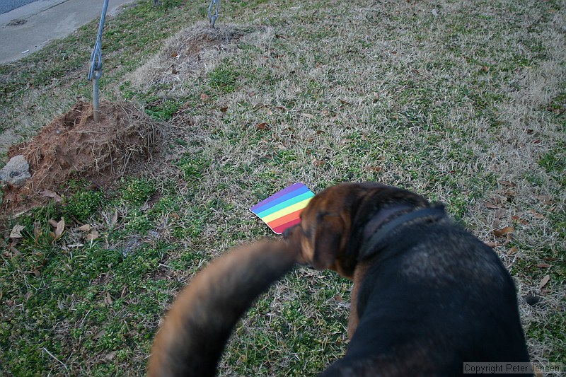 Max finding the rainbow mouse pad