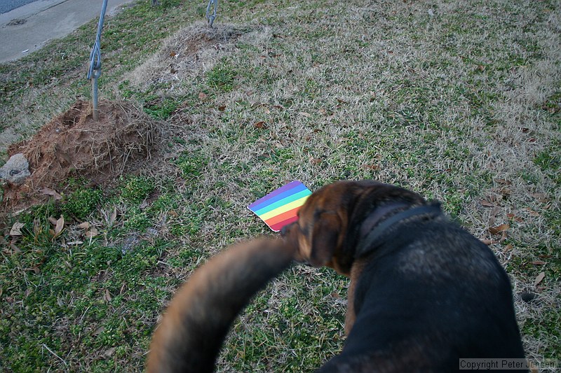 Max finding the rainbow mouse pad