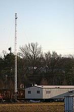 random link antenna