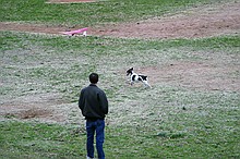 Kip's Elfi and the occasional neighborhood dog in pursuit