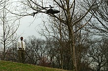 Kip flying with interested onlookers