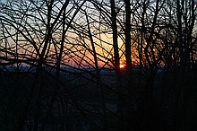 sunset