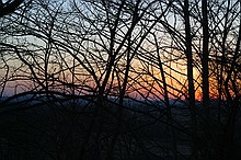 sunset