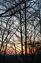 sunset