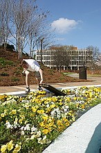 Stephen inspecting an inspection cover