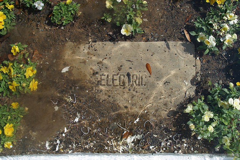 "ELECTRIC"