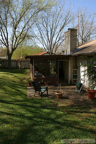 backyard