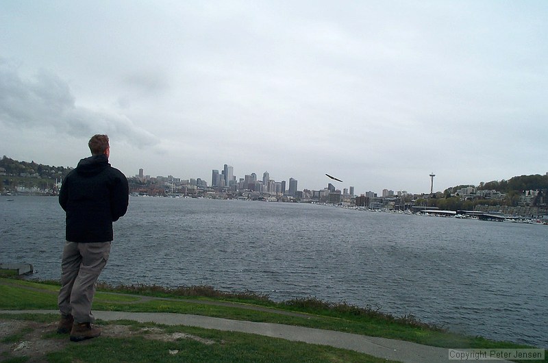 flying a Red Herring at Gasworks