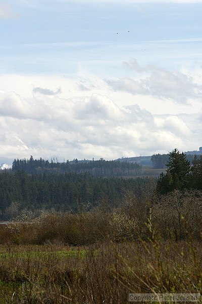 Mount St. Helens visitor center