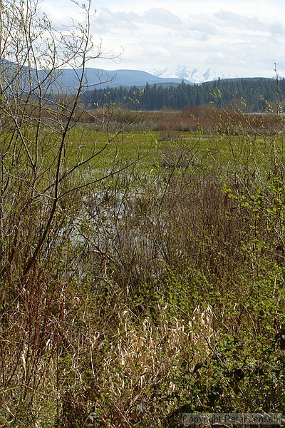 Mount St. Helens visitor center