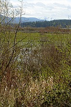 Mount St. Helens visitor center