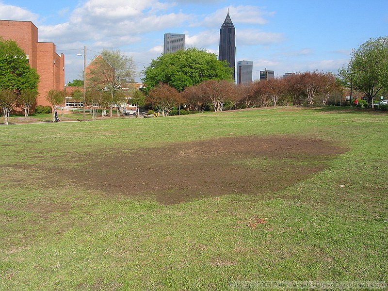 mud-patch left by the SAD concert on the IC field