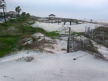 Tybee dunes