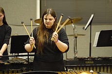 four mallets, one random piece of hair