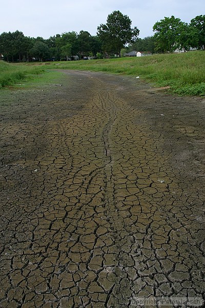 cracked mud in the channel