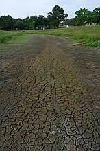 cracked mud in the channel