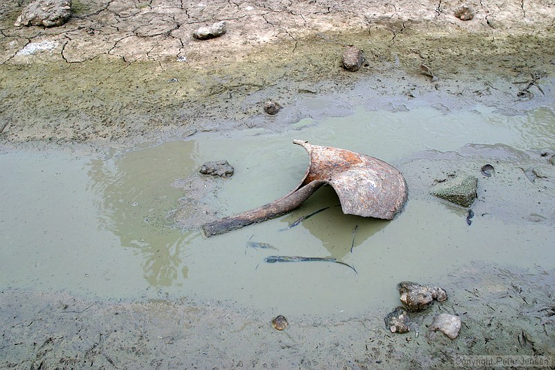 catfish caught out in one of the last remaining wet spots in the channel