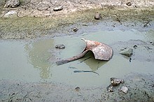 catfish caught out in one of the last remaining wet spots in the channel