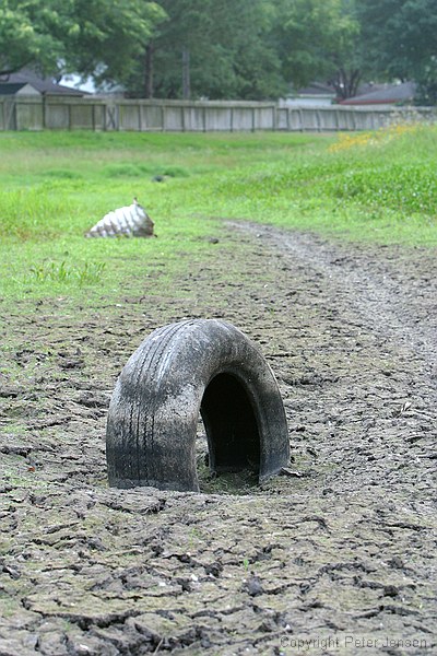 how tires end up in muddy channels