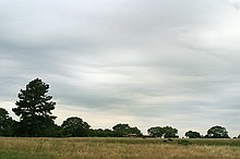 random shots of neat clouds while driving down 71 or 21 toward Manchca