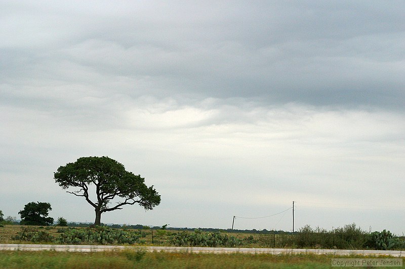 random shots of neat clouds while driving down 71 or 21 toward Manchca