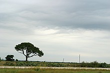 random shots of neat clouds while driving down 71 or 21 toward Manchca