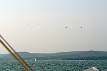 a flotilla of helicopters that came by; all seem to have those sensor pods on the top of the main shaft