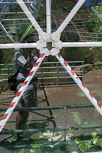 the striped bars represent emergency glass-only panes that the original "Biospherians" could break out of in an emergency