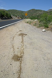 our situation wasn't unique (but we only really dumped coolant once; the other times were just when it got a little hot)