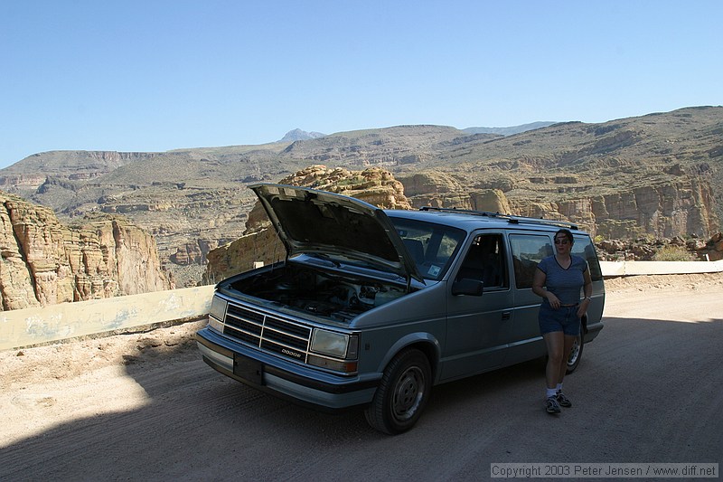 waiting for it to cool off in a shady but easy to see position on the Fish Canyon stretch